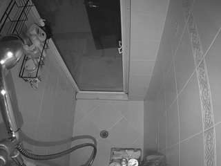voyeurcam-baileybase-shower