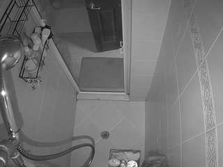 voyeurcam-baileybase-shower camsoda