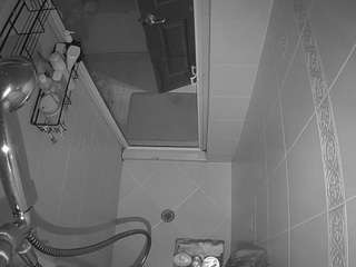 voyeurcam-baileybase-shower camsoda