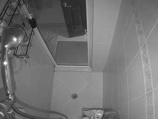voyeurcam-baileybase-shower