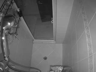 voyeurcam-baileybase-shower