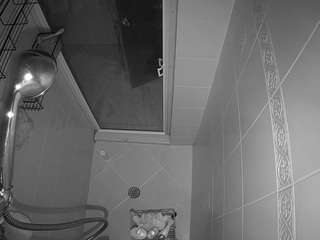 voyeurcam-baileybase-shower