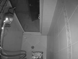voyeurcam-baileybase-shower