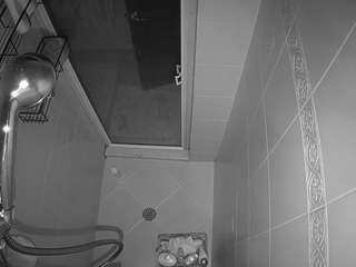 voyeurcam-baileybase-shower webcam model