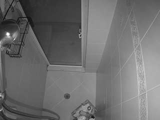 voyeurcam-baileybase-shower webcam model