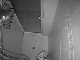 voyeurcam-baileybase-shower