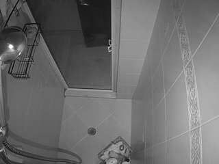 voyeurcam-baileybase-shower