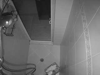 voyeurcam-baileybase-shower