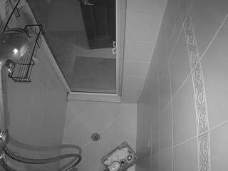 voyeurcam-baileybase-shower webcam