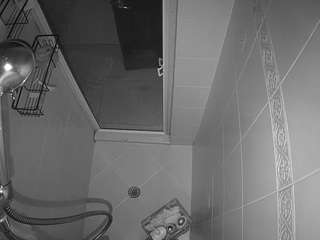 voyeurcam-baileybase-shower webcam