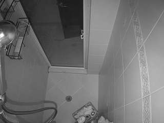 voyeurcam-baileybase-shower webcam