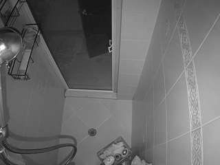 voyeurcam-baileybase-shower webcam