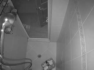 voyeurcam-baileybase-shower