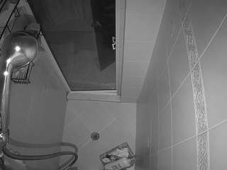 voyeurcam-baileybase-shower