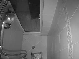 voyeurcam-baileybase-shower