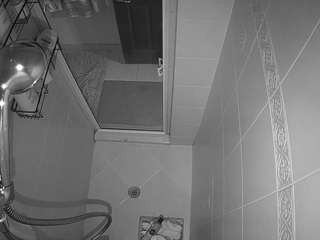 voyeurcam-baileybase-shower live cam profile