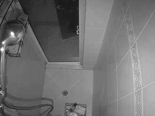voyeurcam-baileybase-shower live cam profile