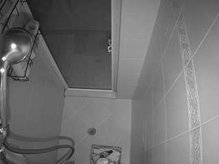 voyeurcam-baileybase-shower
