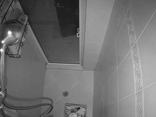 voyeurcam-baileybase-shower webcam
