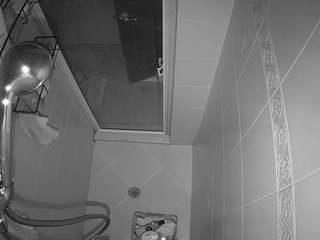 voyeurcam-baileybase-shower