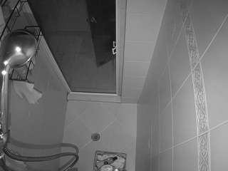 voyeurcam-baileybase-shower