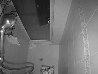 voyeurcam-baileybase-shower