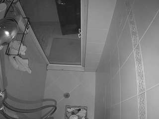 voyeurcam-baileybase-shower