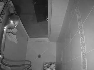 voyeurcam-baileybase-shower