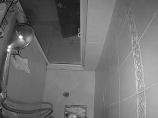 voyeurcam-baileybase-shower