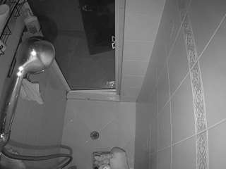 voyeurcam-baileybase-shower