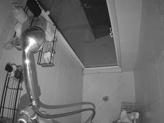 voyeurcam-baileybase-shower