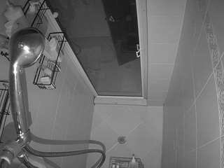 voyeurcam-baileybase-shower