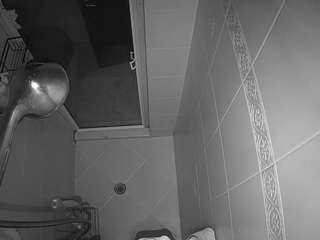 voyeurcam-baileybase-shower