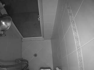 voyeurcam-baileybase-shower