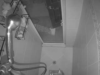 voyeurcam-baileybase-shower