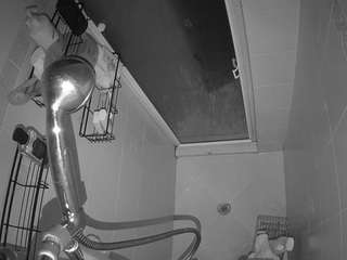 voyeurcam-baileybase-shower
