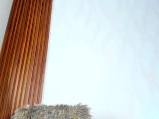 Alejamoore's cam show statistics and live stream