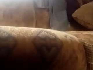 travidty Live Webcam on CamSoda