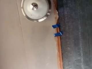 travidty webcam