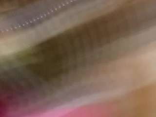 travidty Live Webcam on {site_name}