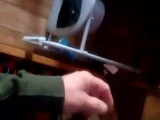 travidty Live Webcam on {site_name}