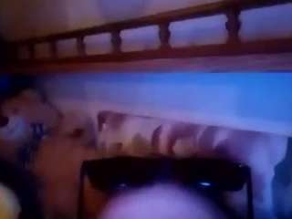 travidty live cam profile