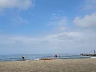 dana-curly Live Webcam on CamSoda