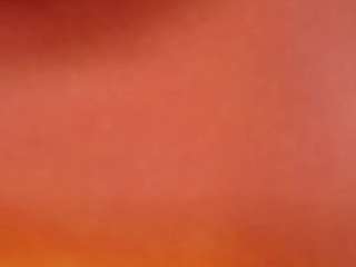 daphne-walton webcam