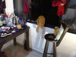 molly-rouse Live Webcam on CamSoda