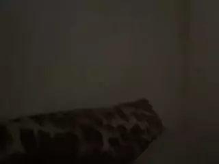 Ms_Behave's Live Sex Cam Show