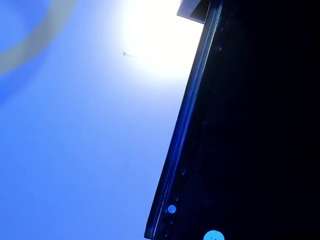 apotheosiss webcam