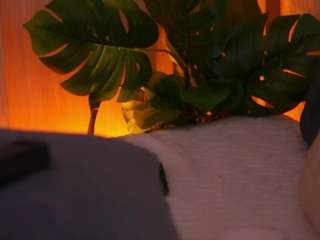 emilybell webcam