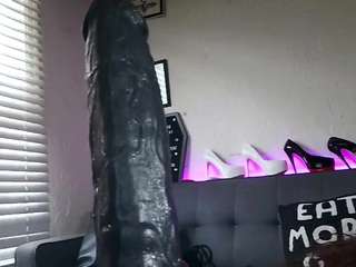 iwazsoaking webcam