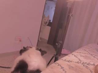 julietavargas Live Webcam on CamSoda